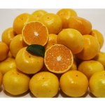 주부들의 명품식단을 위한 1, 2차 식품은 물론 가공식품과 생활용품 등을 다루는 식품중심 종합몰 ‘하나로몰’이 12월 1일 그랜드 오픈한다. (사진 노지감귤)