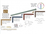 건국대 연구팀은 새로운 알고리즘을 중국의 베이징 유전체 연구소 (Beijing Genomics Institute)에서 최근 시퀀싱된 티벳 영양(Tibetan antelope) 데이
