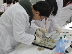 「노로바이러스 검사교육」 과정모습