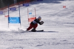 2013 알펜시아 피셔 챔피언십 스키 대회