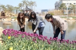 뱃머리마을 꽃밭을 찾은 시민들이 봄을 알리는 꽃을보며 즐거워하고 있다.