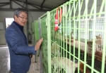 박승호 포항시장이 유기동물보호소의 관리실태를 살펴보고 있다.