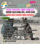 6월 9일 서울광장에서 대한민국 반려동물문화 대축제 Seoul 2013이 개최된다.