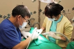 드라마치과는 메디컬 선진국인 독일, 스위스, 이스라엘의 기술력이 응집된 MIS 임플란트를 117만원이라는 합리적인 가격으로 제공한다.
