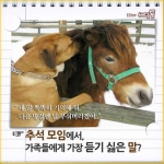 배달통 페이스북 추석 이벤트