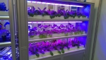 LED 식물공장 시스템