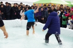 영월동강 겨울축제에서 시민이 맨손으로 송어잡기 행사에 참여하고 있다.