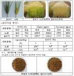 농촌진흥청이 개발한 항산화 성분 함량이 높은 보리차용 겉보리 새품종 노보의 주요특징