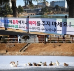 건국대학교는 AI(조류인플루엔자) 예방을 위해 학생과 시민들이 캠퍼스내 일감호에 사는 오리 및 야생조류와 접촉하는 것을 금지하는 등 격리 및 방역 작전에 들어갔다.