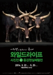 와일드라이프, 사진전&증강현실체험전이 오는 3월 22일(토)부터 5월 25일(일)까지 총 65일 동안 광화문 세종문화회관 전시관에서 열린다.(사진제공 ㈜이앤브이커뮤니케이션)