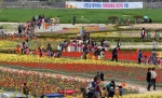 포항시 남구 상도동의 하수처리장 일원에는 4월 10일부터 뱃머리마을 튤립 꽃잔치가 열렸다.