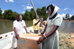 탄자니아 의약품 비축부(The Medical Stores Department (MSD))가 보트를 이용하여 프와니 구역의 라피지 삼각주 지역에 있는 한 병원으로 의약품을 운송하고 