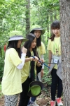 우리강산 푸르게 푸르게 2014 숲체험 여름학교 그린캠프에 참여한 여고생들이 나무의 수령을 측정하는 체험학습에 참여하고 있다.