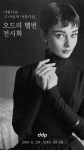 오드리 헵번, 뷰티 비욘드 뷰티전시회 인터파크 사전 예매 사이트 화면 일부다.