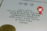 모델상