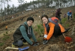 경기도 여주에서 열린 2014 신혼부부 나무심기 참가자들이 정성스레 묘목을 심고 있다.