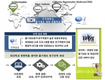 건국대가 국내 대학 첫 줄기세포학과를 신설했다.