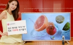 LG전자가 ‘이지 TV’가 하루 평균 100대씩 팔려나며 50일 만에 누적 판매량 5,000대를 넘어섰다. 모델이 ‘이지 TV’와 함께 포즈를 취하고 있다.