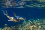 몰디브에 위치한 반얀트리 호텔과 앙사나 리조트가 인도양의 해양 생태계를 보호하기 위해 산호초 보호 프로그램을 강화한다