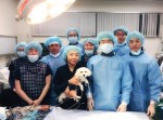 건국대동물병원 내과 박희명 교수 연구팀이 국내 소형 강아지의 대표적인 선천성 심장질환 가운데 하나인 동맥관개존증 폐쇄술을 국내 최초로 최단 시간에 성공했다