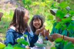녹색교육센터가 4월 12일부터 소외계층 아동을 위한 숲생태감수성 향상프로젝트 와숲 활동을 시작한다