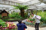 도시에서 보기 어려운 나비들을 만날 수 있는 서울숲 나비정원이 5월 1일에 개장한다