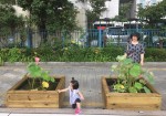 가든프로젝트가 고려대학교에서 연꽃과 수생식물을 주제로 8월 17일부터 9월 21일까지 총 6회에 걸쳐 특강을 진행한다. 사진은 가든프로젝트가 시공한 성북구청 앞 도로 변의 연 텃밭