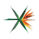 엑소 정규 4집 The War 앨범 표지