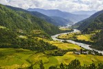 부탄 푸나카 계곡