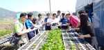 2017년 충남지역 마이스터대학에서 딸기 품목을 교육하고 있다