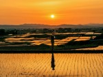 후쿠시마현 국제교류협회, 외국인 거주자 대상 사진 콘테스트 수상작 발표