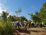 자원봉사자들이 서울숲 무지개언덕에 미세먼지 우수 수종인 갈참나무를 심고 있다