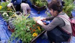 가든프로젝트에서 진행한 나만의 정원 만들기 프로그램