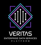 베리타스 엔터프라이즈 데이터 서비스 플랫폼