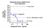 opaganib은 양성 대조군인 렘데시비르(remdesivir) 등 함께 실험한 다른 물질들보다 항바이러스 활성이 가장 강력했다