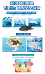 페이퍼아트로 만나는 해양보호생물 포스터