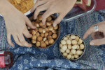 호주 마카다미아 협회가 건강한 지방을 갖춘 영양 스낵 마카다미아를 제안했다