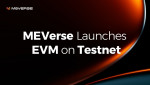 메인넷 미버스가 자체 개발한 메인넷이 가상머신인 ‘EVM ’을 개발 완료해 테스트넷에 적용