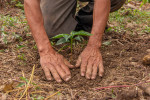 In 2013, Mary Kay began supporting large-scale reforestation projects around the world including the