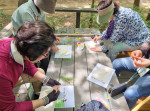 ‘야외치유 프로그램’ 참가자들이 매봉산 치유의 숲에서 만들기 체험을 하고 있다