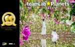 teamLab Planets, a body immersive museum in Toyosu, Tokyo, wins the World Travel Awards for “Asia’s 