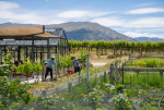 와인 산업 전반에 걸쳐 ‘지속가능성’을 위한 선순환 시스템을 구축한 뉴질랜드
