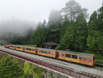 The Alishan Forest Railway resumes service after 15 years, with new tourist charter trains joining t