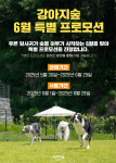 강아지숲이 온라인 사전 예매를 개시하고 이를 기념한 ‘6월 특별 프로모션’을 진행한다