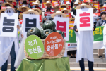 친환경인증이 취소돼 유기 출하가 불가능한 유기 단호박