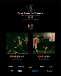 제2회 DSD 월드 챔피언십 포스터