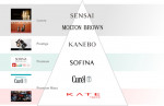 Six focus brands of Kao Cosmetics