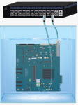 Immersion-cooled NPO/chiplet operating with 800G Ethernet switch