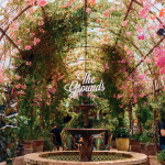 더 그라운즈 오브 알렉산드리아, 뉴사우스웨일즈