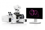 ZEISS Lightfield 4D 소개 이미지. 차세대 ZEISS Confocal 현미경의 출시와 함께 등장한 새로운 혁신, 살아있는 유기체의 고속 이미징을 위한 Lightfie